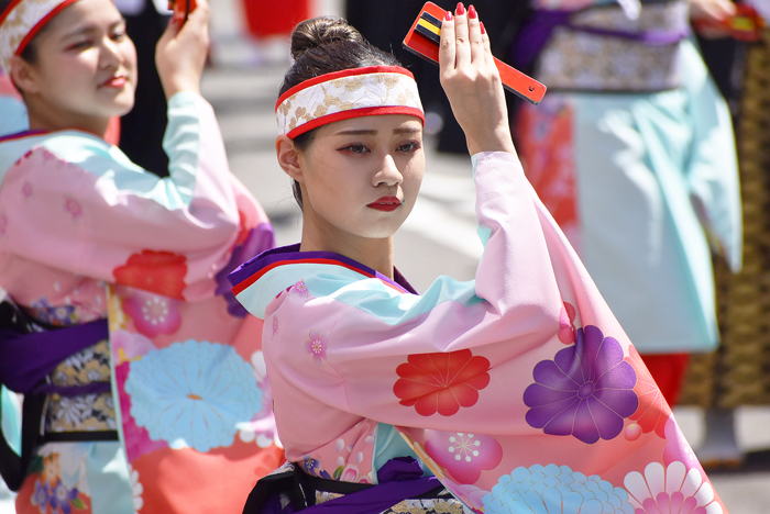 よさこい衣装・祭り衣装　　俵屋グループ様 