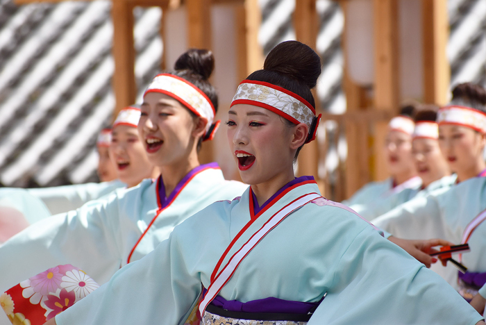 よさこい衣装・祭り衣装　　俵屋グループ様 