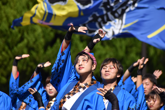 よさこい衣装・祭り衣装　　九州看護福祉大学　飛羽隊様 