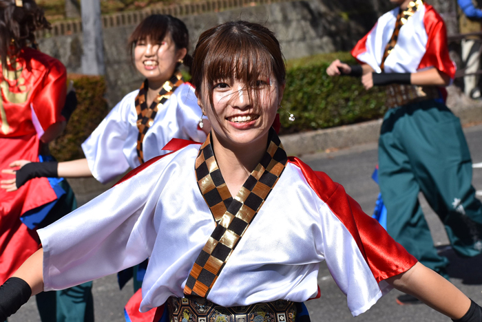 よさこい衣装・祭り衣装　　九州看護福祉大学　飛羽隊様 