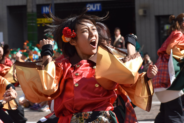 よさこい衣装・祭り衣装　　北九州市立大学よさこいサークル灯炎様 