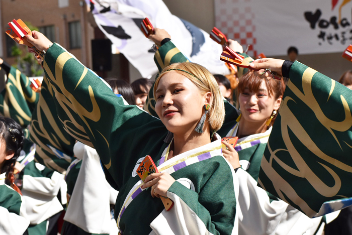 よさこい衣装・祭り衣装　　北九州市立大学よさこいサークル灯炎様 