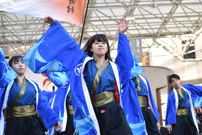 よさこい衣装・祭り衣装　　島根県立大学 よさこい橙蘭様 