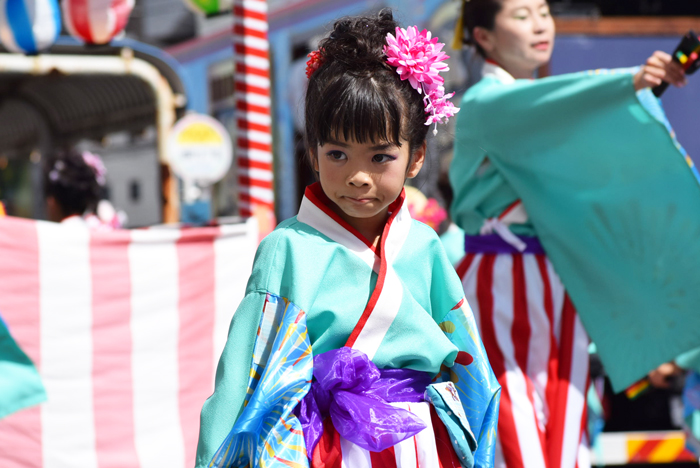 よさこい衣装・祭り衣装　　梅乃連様 