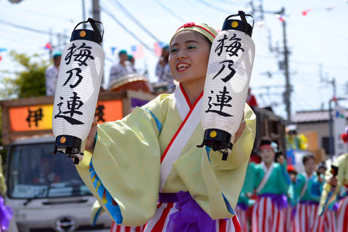 よさこい衣装・祭り衣装　　梅乃連様 