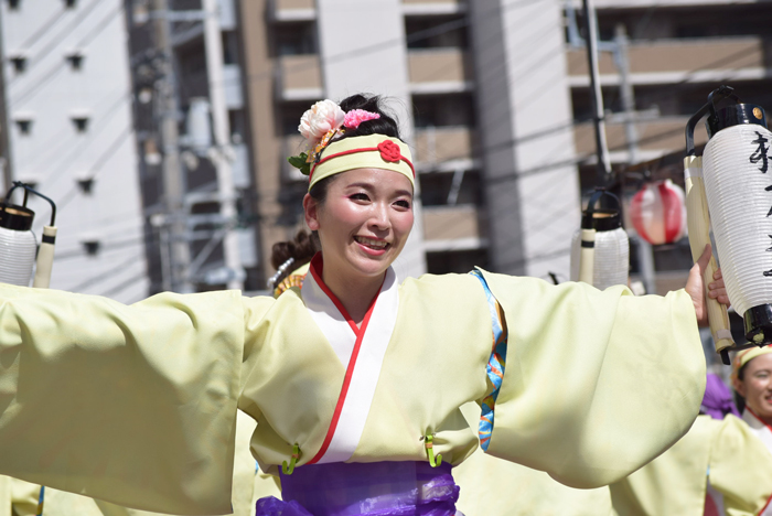 よさこい衣装・祭り衣装　　梅乃連様 