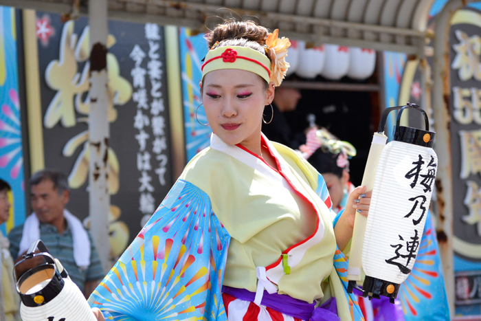 よさこい衣装・祭り衣装　　梅乃連様 