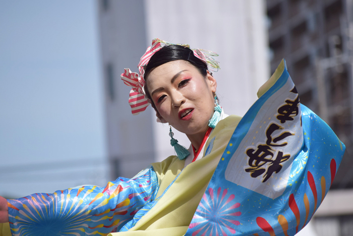 よさこい衣装・祭り衣装　　梅乃連様 