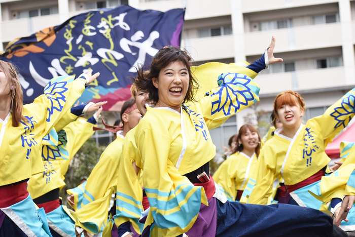 よさこい衣装・祭り衣装　　山口大学よさこいやっさん!!様 