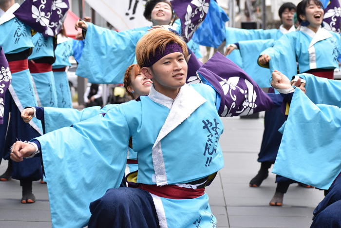 よさこい衣装・祭り衣装　　山口大学よさこいやっさん!!様 