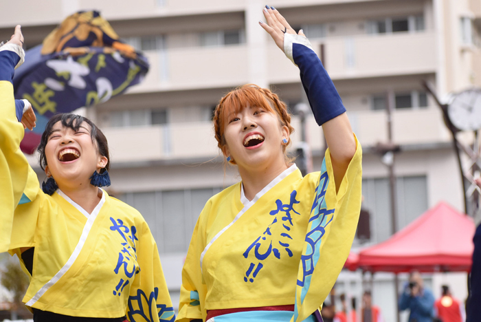 よさこい衣装・祭り衣装　　山口大学よさこいやっさん!!様 