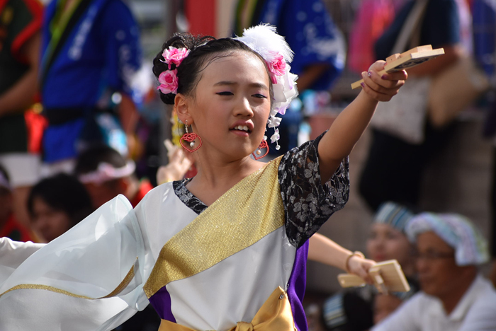 よさこい衣装・祭り衣装　　結sin様 