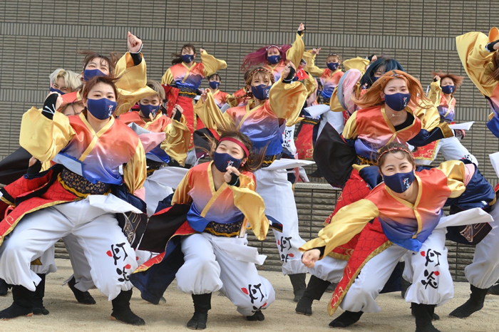 よさこい衣装・祭り衣装　　北九州市立大学よさこいサークル灯炎　 様 