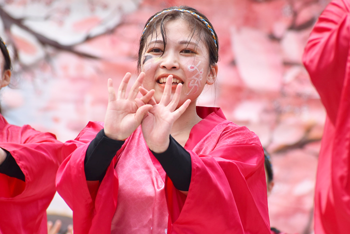 よさこい衣装・祭り衣装　　岡山うらじゃ連　旭様 