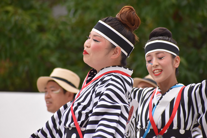 よさこい衣装・祭り衣装　　ちゃきる様 