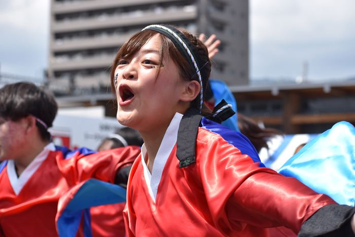 よさこい衣装・祭り衣装　　香川大学よさこい連風華様 