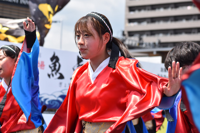 よさこい衣装・祭り衣装　　香川大学よさこい連風華様 