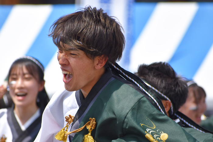 よさこい衣装・祭り衣装　　香川大学よさこい連風華様 