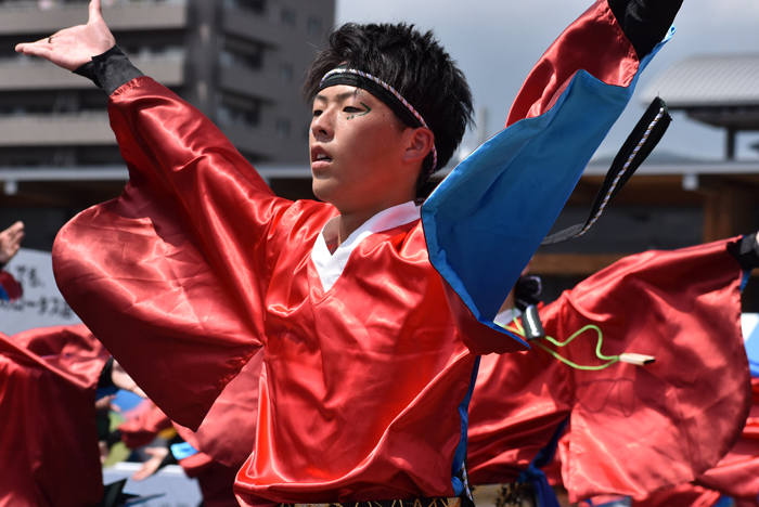 よさこい衣装・祭り衣装　　香川大学よさこい連風華様 