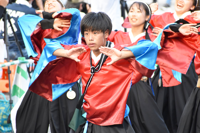 よさこい衣装・祭り衣装　　香川大学よさこい連風華様 