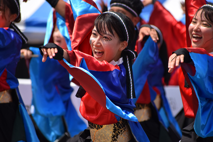 よさこい衣装・祭り衣装　　香川大学よさこい連風華様 