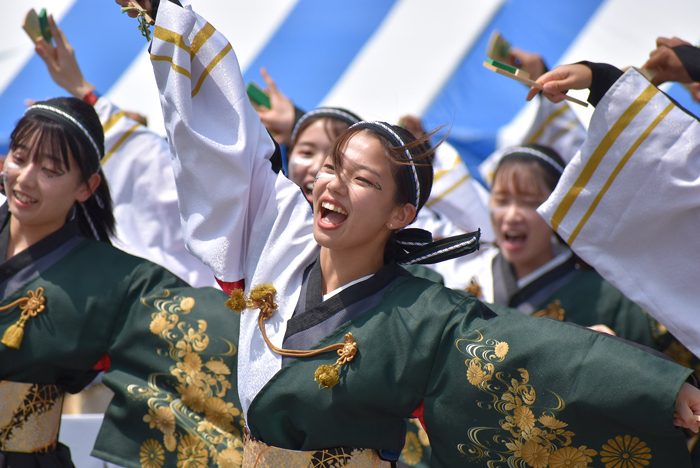 よさこい衣装・祭り衣装　　香川大学よさこい連風華様 