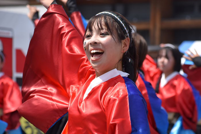 よさこい衣装・祭り衣装　　香川大学よさこい連風華様 