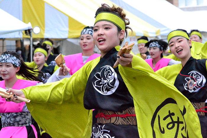 よさこい衣装・祭り衣装　　幡多舞人様 