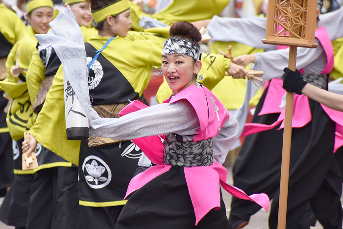 よさこい衣装・祭り衣装　　幡多舞人様 