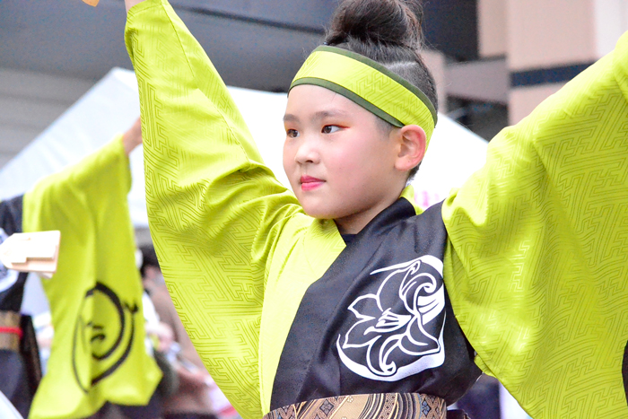 よさこい衣装・祭り衣装　　幡多舞人様 