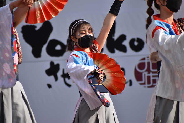 よさこい衣装・祭り衣装　　熊本県立大学一大事様 