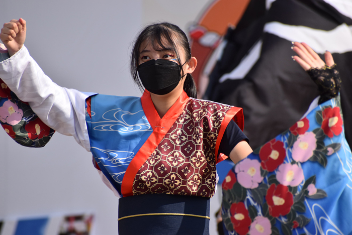 よさこい衣装・祭り衣装　　熊本県立大学一大事様 