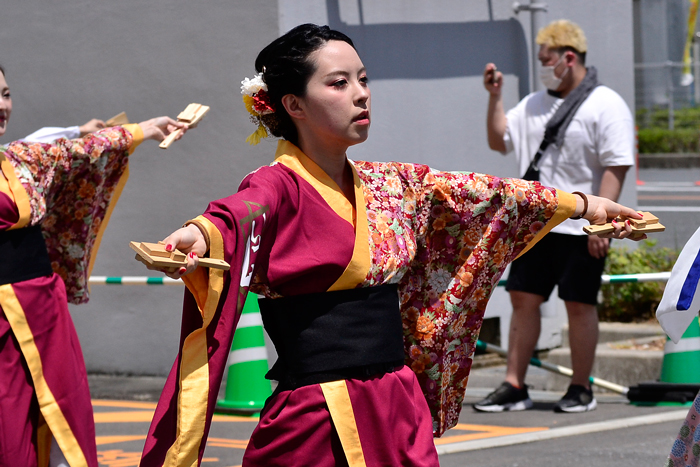 よさこい衣装・祭り衣装　　夢現～いちぜん～様 