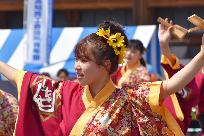 よさこい衣装・祭り衣装　　夢現～いちぜん～様 