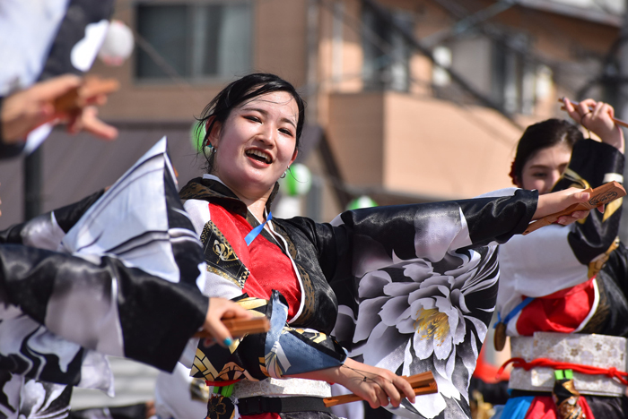 よさこい衣装・祭り衣装　　純信連様 