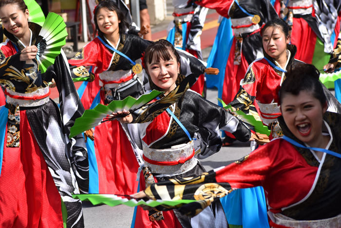 よさこい衣装・祭り衣装　　純信連様 