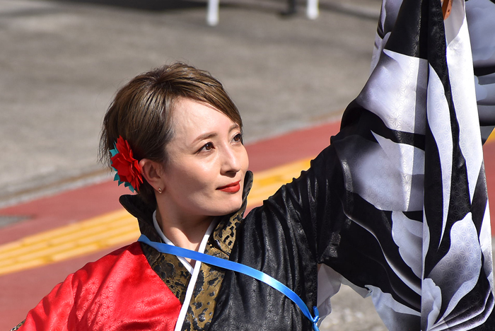 よさこい衣装・祭り衣装　　純信連様 