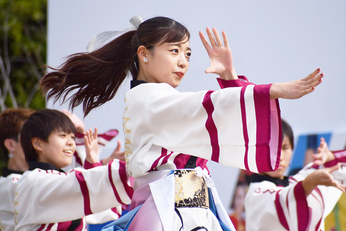 よさこい衣装・祭り衣装　　崇城大学～華咲流舞～様 