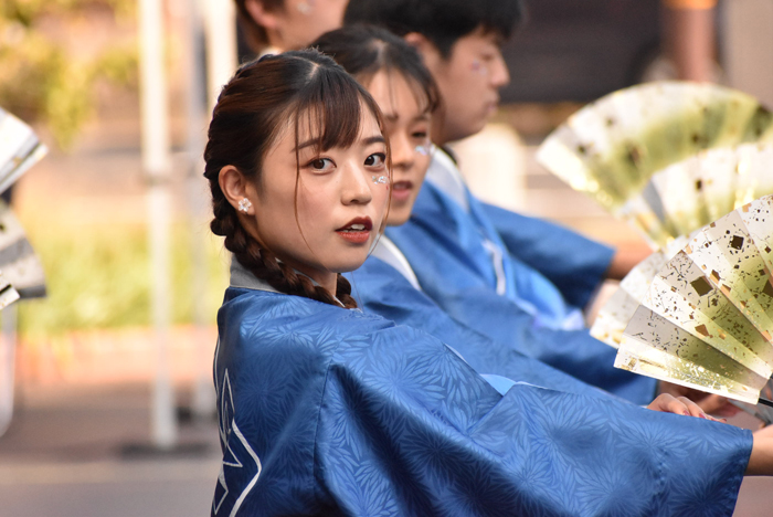 よさこい衣装・祭り衣装　　崇城大学～華咲流舞～様 
