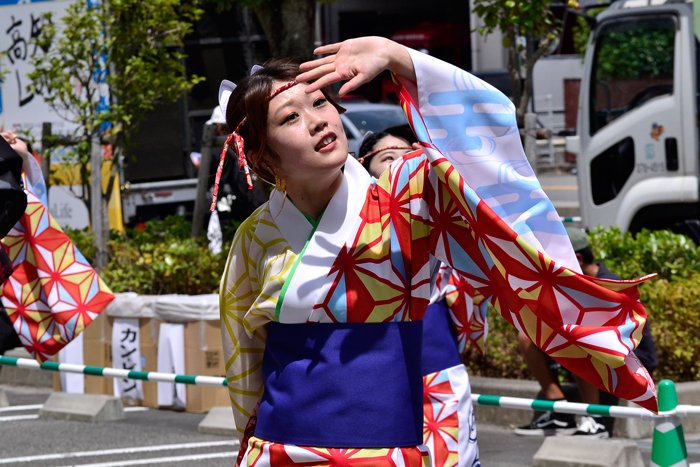 よさこい衣装・祭り衣装　　かざね様 