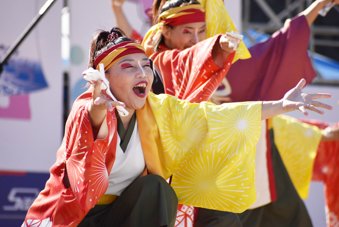 よさこい衣装・祭り衣装　　煌星様 