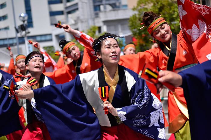 よさこい衣装・祭り衣装　　祭屋よさこい踊り子隊様 