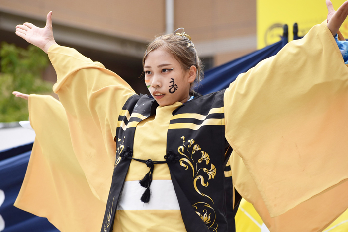 よさこい衣装・祭り衣装　　岡山うらじゃ連 四季様 