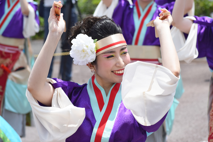 よさこい衣装・祭り衣装　　Summer Zipper様 