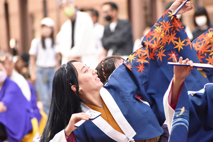 よさこい衣装・祭り衣装　　北九州市立大学よさこいサークル灯炎様 