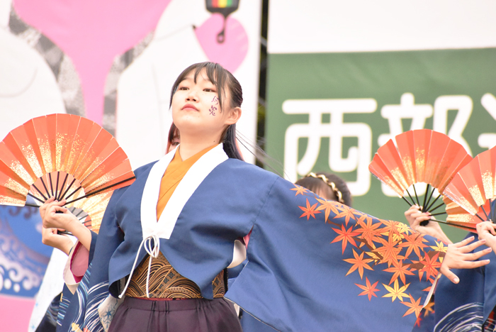 よさこい衣装・祭り衣装　　北九州市立大学よさこいサークル灯炎様 