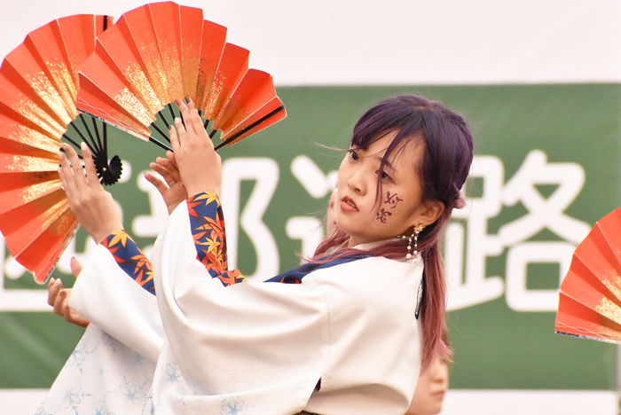 よさこい衣装・祭り衣装　　北九州市立大学よさこいサークル灯炎様 