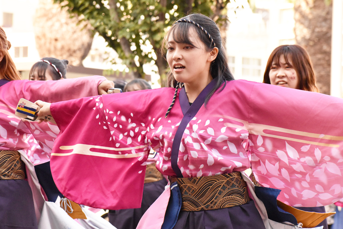 よさこい衣装・祭り衣装　　北九州市立大学よさこいサークル灯炎様 