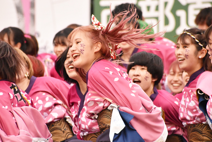 よさこい衣装・祭り衣装　　北九州市立大学よさこいサークル灯炎様 