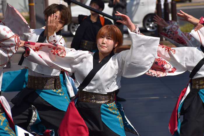 よさこい衣装・祭り衣装　　島根県立大学よさこい橙蘭様 